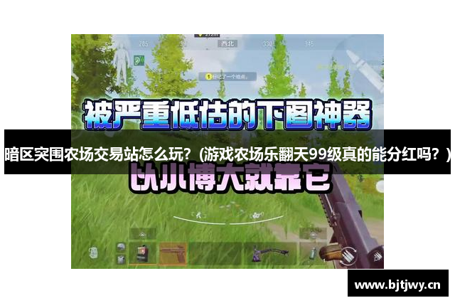 暗区突围农场交易站怎么玩？(游戏农场乐翻天99级真的能分红吗？)