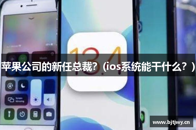 苹果公司的新任总裁？(ios系统能干什么？)